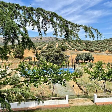 Santa Marta Complejo Rural Con Pista De Padel Guest House Archidona Luaran gambar